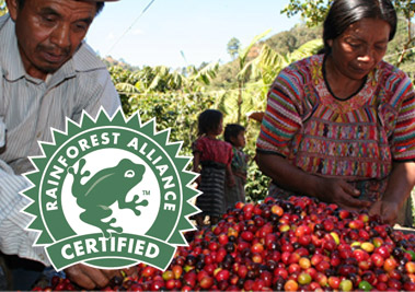 Café del Mar koffie